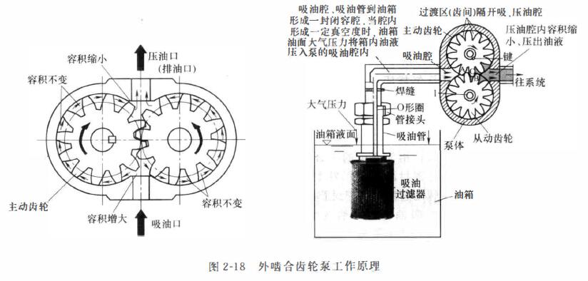 齿轮泵工作原理