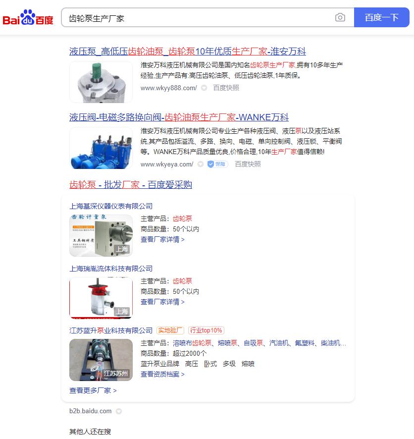 购买齿轮泵
